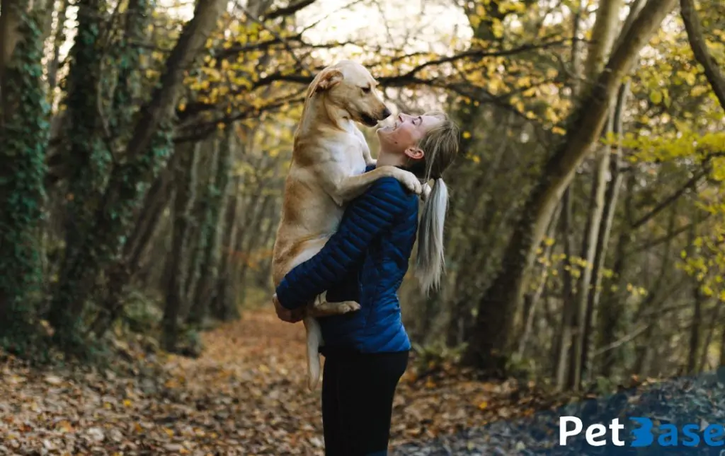 PetBase - dieren goed voor mentale gezondheid