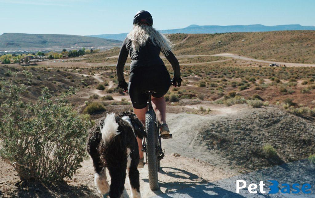 PetBase - fietsen met je hond