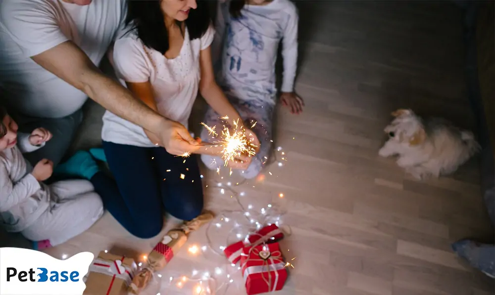 Angst huisdieren vuurwerk