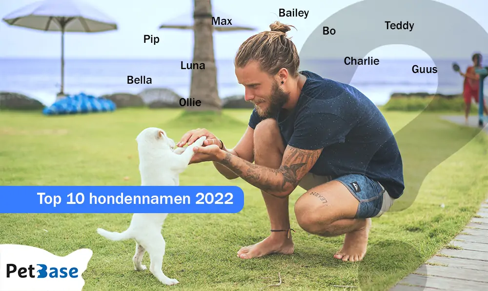 Naam honden