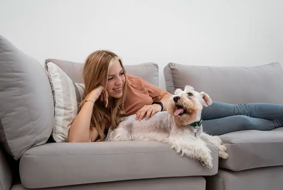 waarom huilen honden