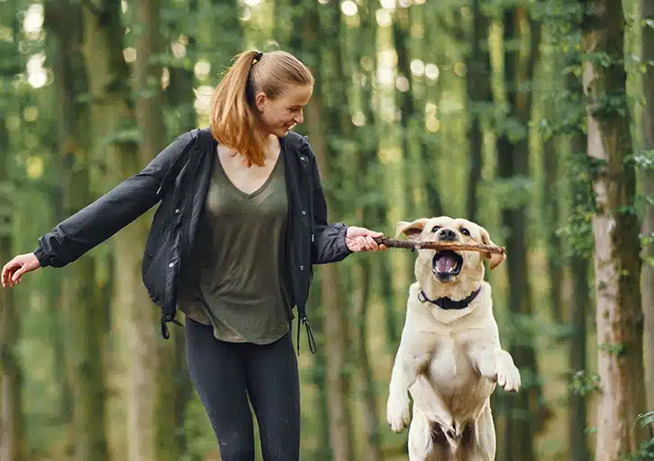 Losloopgebieden voor Honden