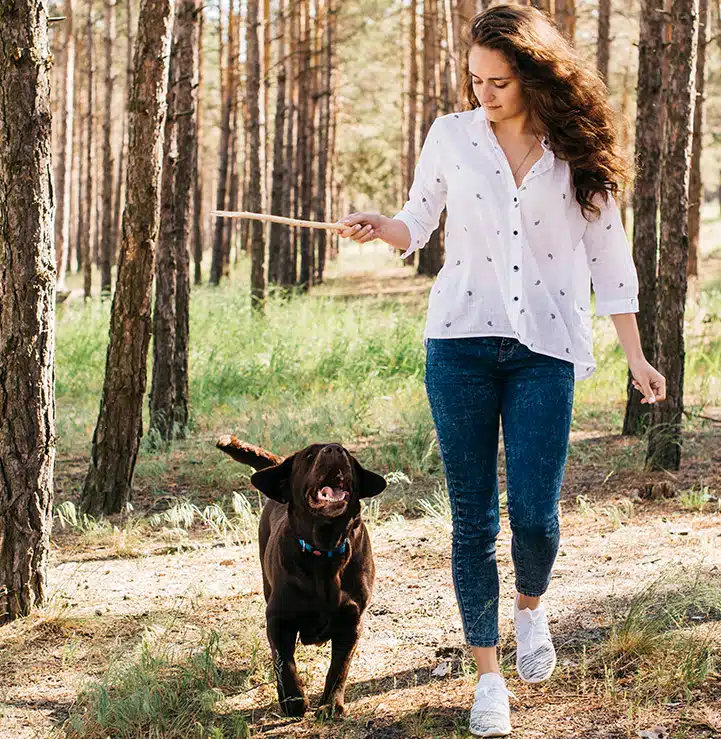 Losloopgebieden voor Honden