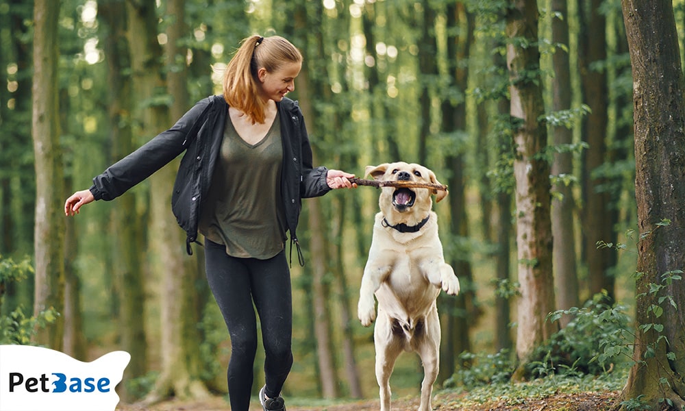 Losloopgebieden voor Honden