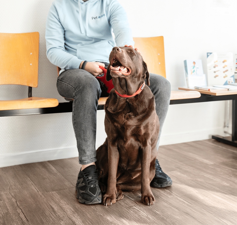Hond zit met eigenaar in de wachtkamer bij de dierenarts, voorbereiding op behandeling
