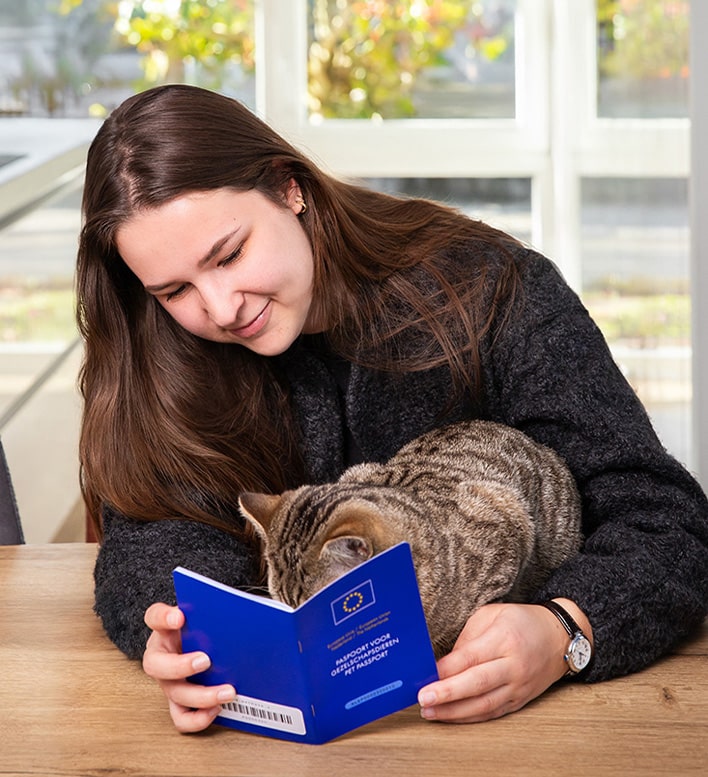 Kat ontspannen in huis na registratie met microchip bij PetBase