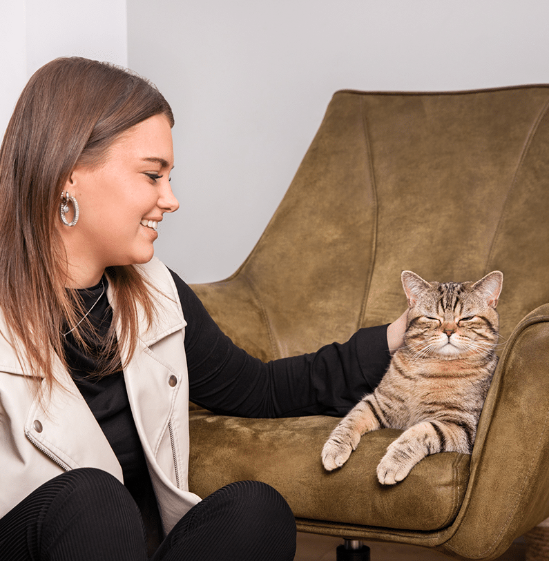 Vrouw aait ontspannen haar kat die op een fauteuil ligt