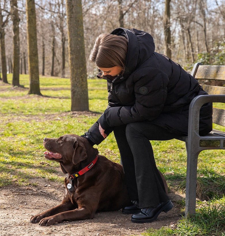 Hond met baasje buitenwandelen
