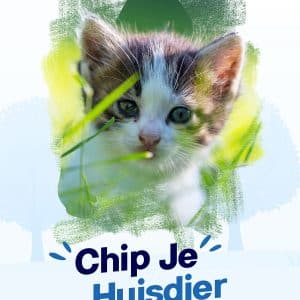 PetBase informatie posters
