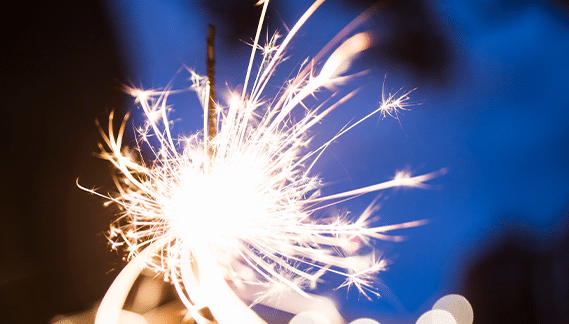 Vuurwerk bij honden