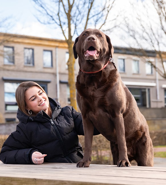Labrador registreren petbase