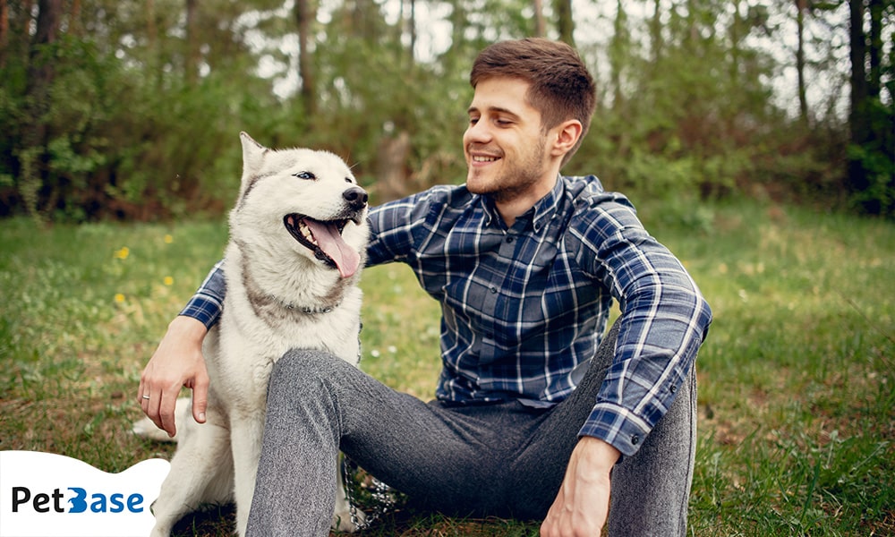 hond is goed voor de gezondheid van de mens